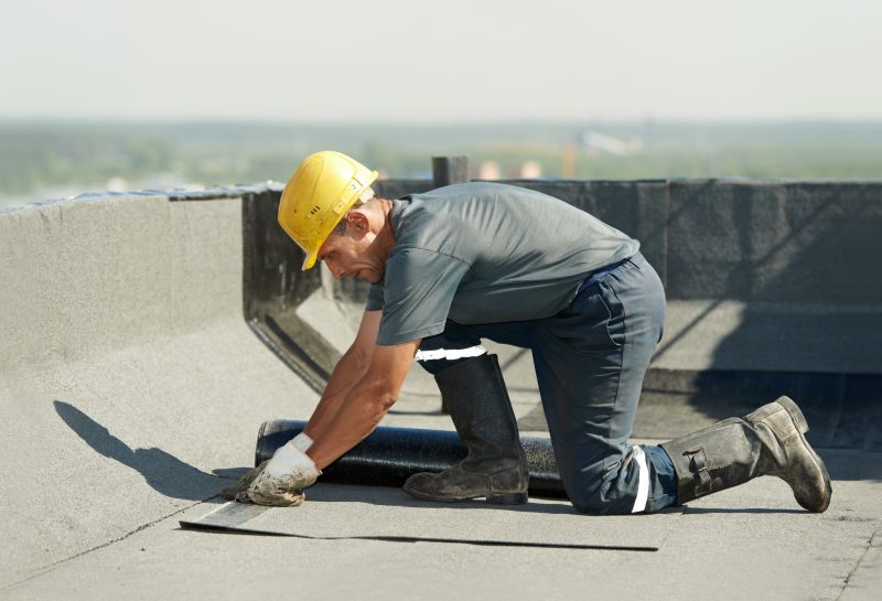 Professional Roof Installation